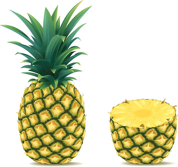 Ananas and a half Vector illustration of an ananas (pineapple) and a half ananas. High-res. JPG (3500 px wide) and print-PDF included. ananas stock illustrations