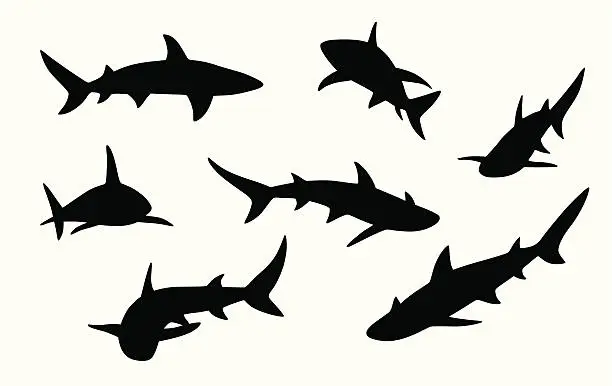 Vector illustration of Sharks Vector Silhouette