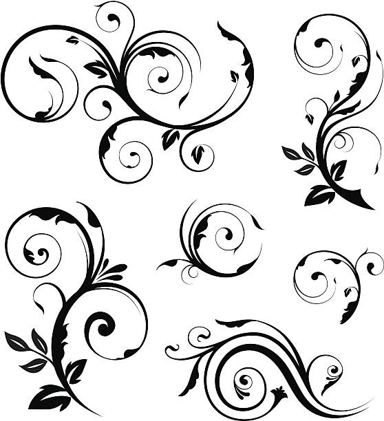 Floral elements collection vector art illustration