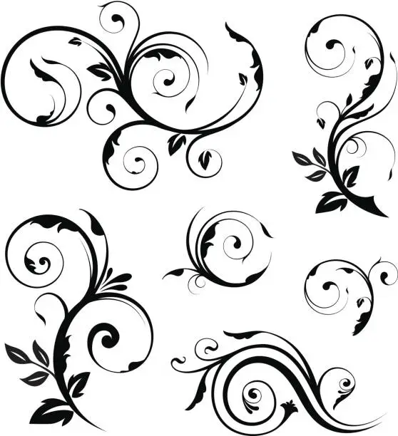 Vector illustration of Floral elements collection