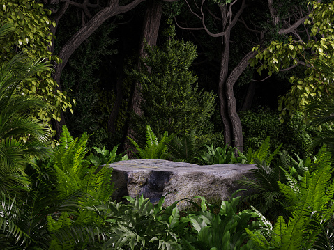 Rock stone podium in tropical forest for pedestal for product display.3d rendering