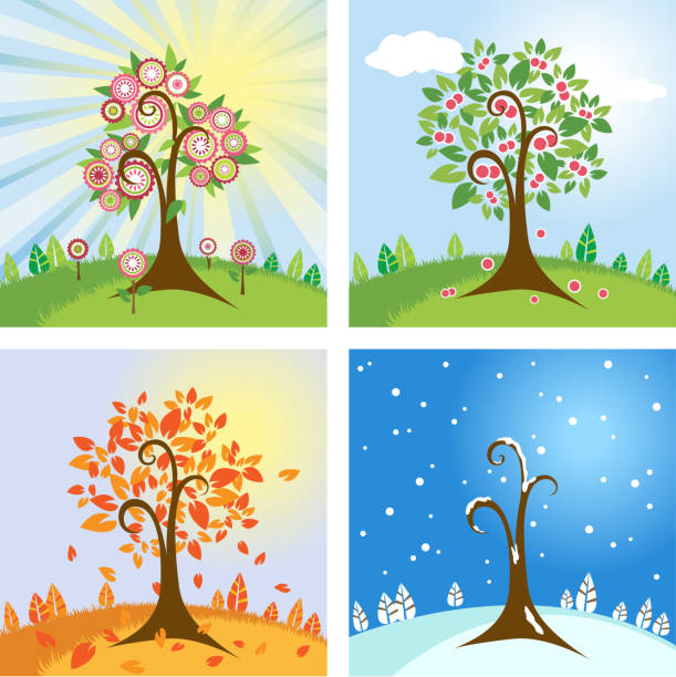 four seasons w naturze - bare tree winter sunlight backgrounds stock illustrations