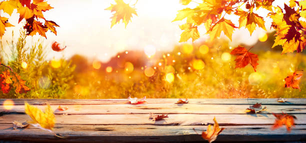 istock Fall - Yellow Branch On Wooden Table At Sunset With Bokeh 1656551472