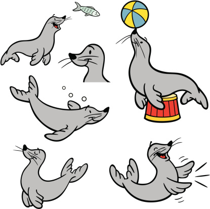 Great illustrations of a cartoon seal. Perfect for a circus or sea world illustration. EPS and JPEG files included. Be sure to view my other illustrations, thanks!