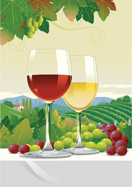 Glasses of Wine Glasses of red wine and white wine, under the vines on a table with bunches of grapes and a country vineyard scene background. Art on layers and easily edited. table moutain stock illustrations