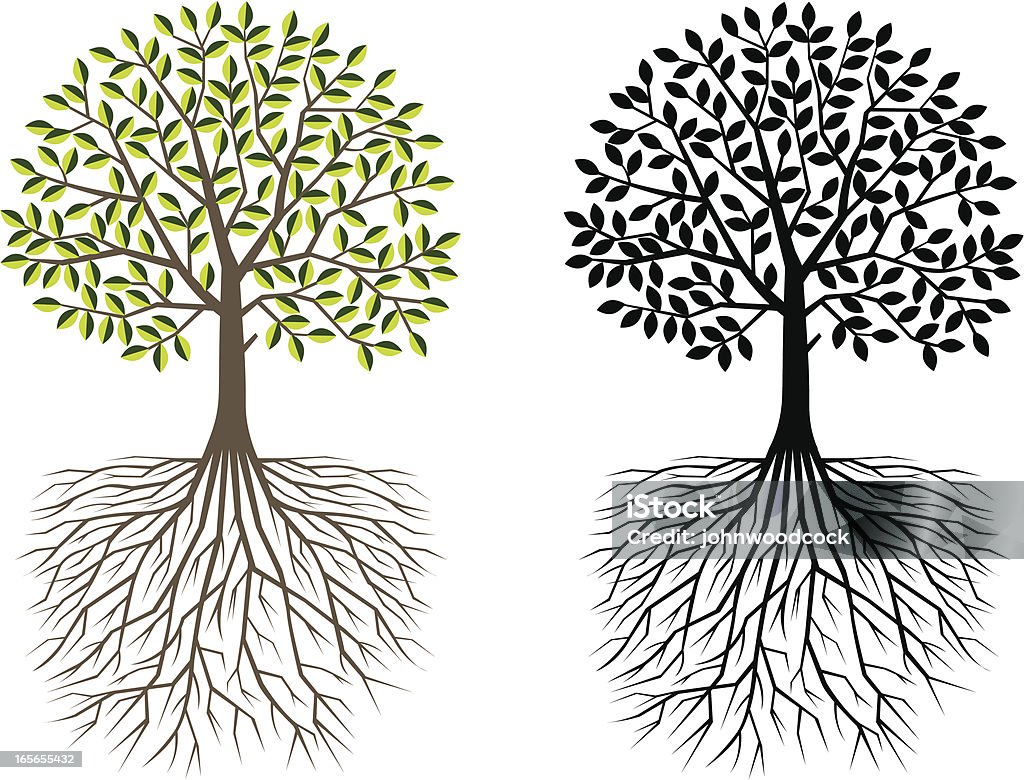 Árvore e as raízes - Royalty-free Raiz arte vetorial