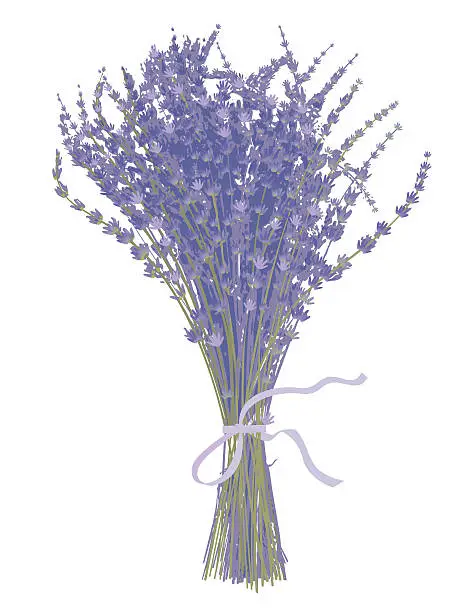 Vector illustration of Lavender Flowers Boquet-Design Elements