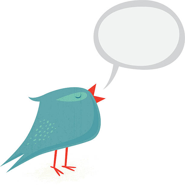 Blue bird vector art illustration