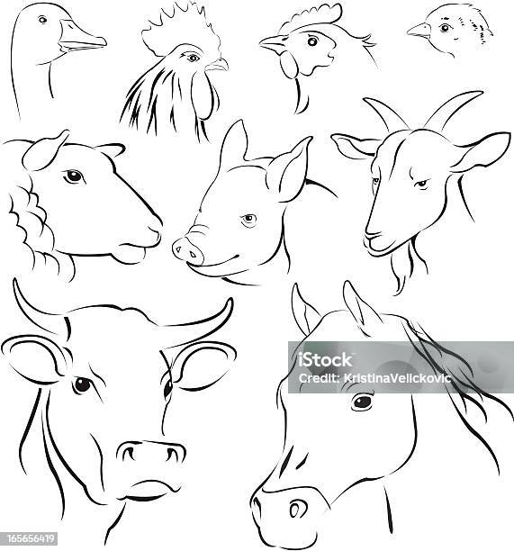 Simple Animals Stock Illustration - Download Image Now - Goat, Drawing - Activity, Domestic Cattle