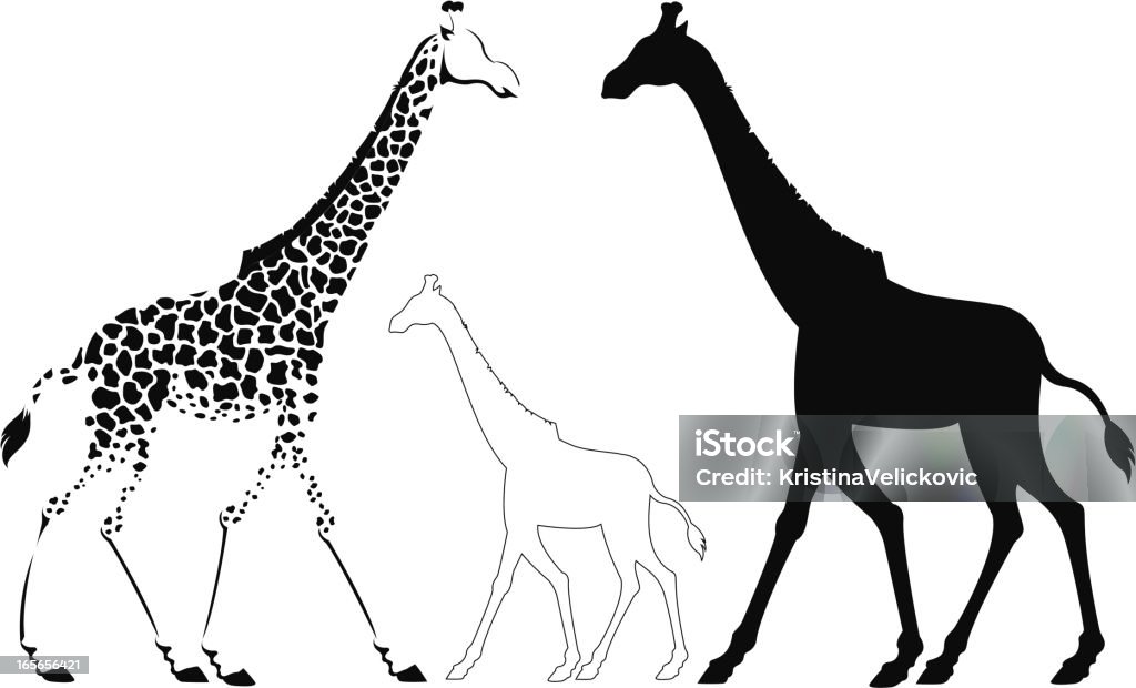 giraffe vector illustration of giraffe Africa stock vector