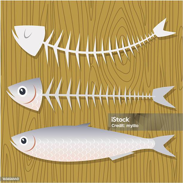 Vetores de Sardinha e mais imagens de Sardinha - Sardinha, Vector, Alimentação Saudável