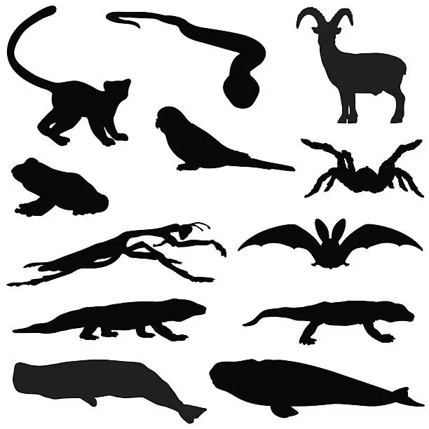 Vector illustration of Variety of animal silhouettes