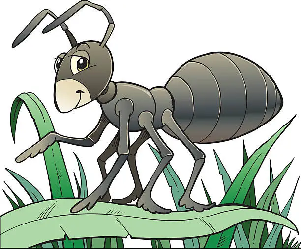 Vector illustration of Ant