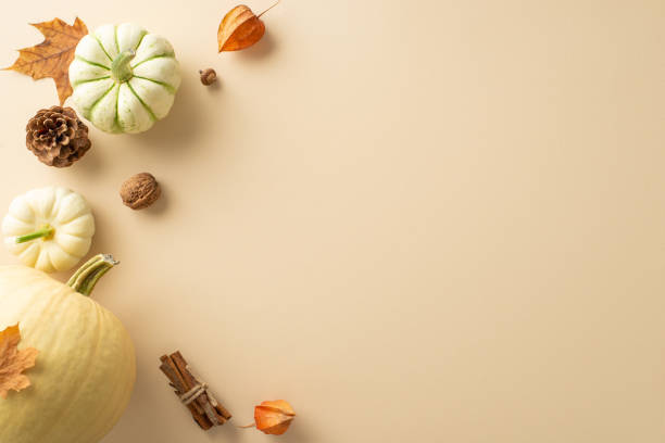 istock Envision the autumn harvest concept through this elevated perspective. Ripe pumpkins and seasonal attributes presented on a beige isolated background, granting copyspace for text or advertising 1656579052