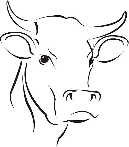 Simple Cow Line Drawing