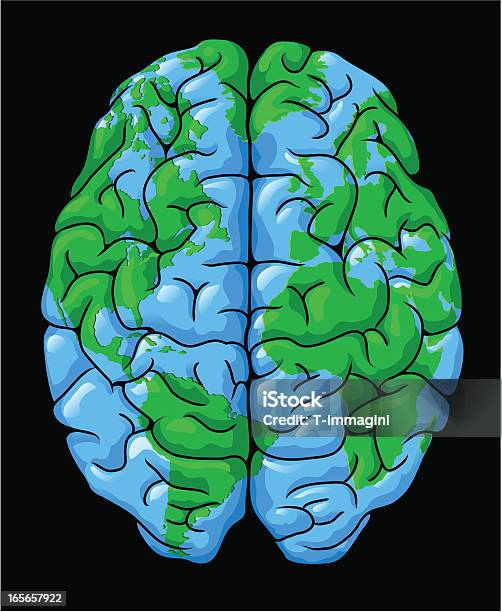 세계 뇌 뇌에 대한 스톡 벡터 아트 및 기타 이미지 - 뇌, 지구본, 사색