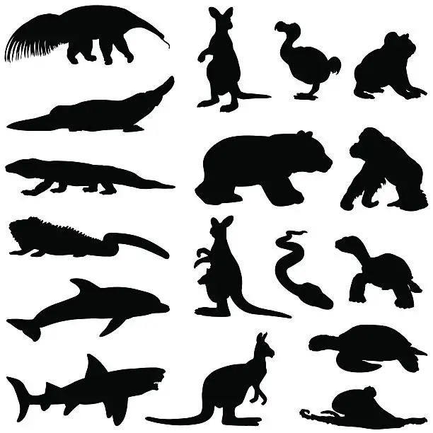 Vector illustration of Hot climate animal silhouettes