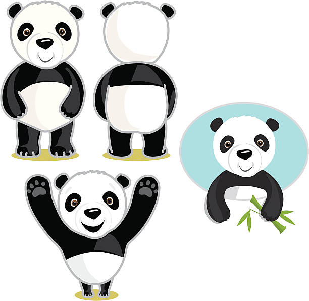 Panda Guy vector art illustration