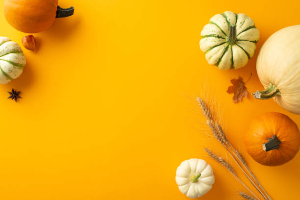 tableau d’automne festif: vue de dessus capturant des citrouilles, des gourdes, des pattipans, du blé, des feuilles d’érable, de l’anis. décoré de fleurs de physalis sur fond orange, laissant de la place pour le texte ou les annonces - feast day abundance vegetable food photos et images de collection