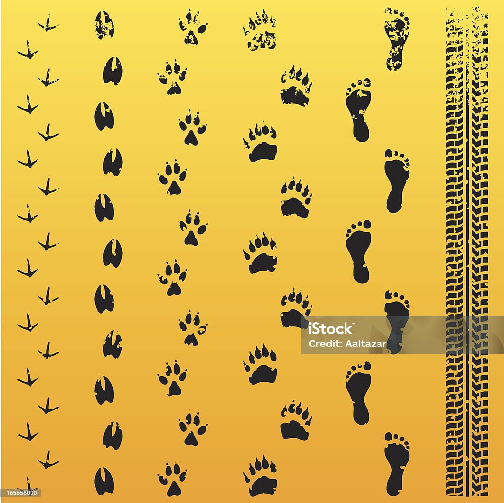 Grunge Animal Track Evolution Grunge black animal tracks on yellow background, with linear gradient.  Dirt Road stock vector