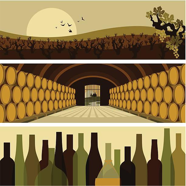 баннеры вина - wine wine bottle cellar grape stock illustrations