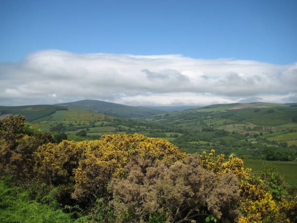 istock Landscape along the Wicklow Way 1656581185