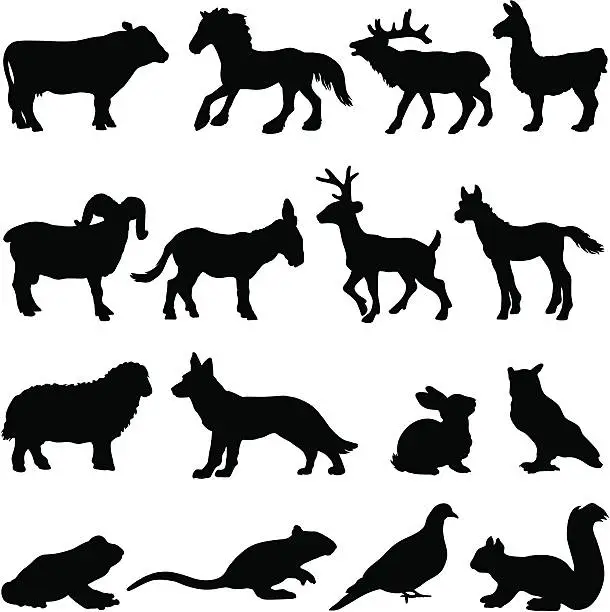 Vector illustration of Country farm animal silhouettes