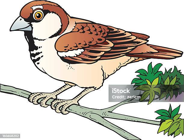Sparrow Stock Illustration - Download Image Now - Animal, Bird, Cheerful