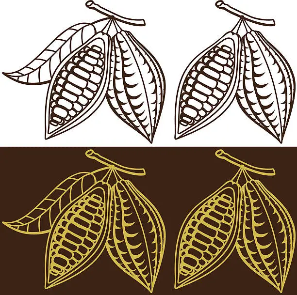 Vector illustration of Cocoa
