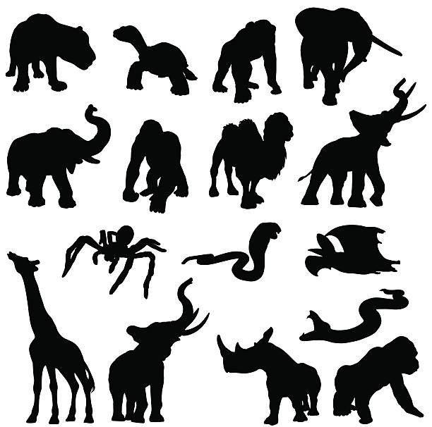 アフリカの動物シルエット - elephant animal isolated white background点のイラスト素材／クリップアート素材／マンガ素材／アイコン素材