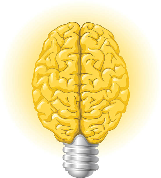 Halogen lightbulb brain vector art illustration
