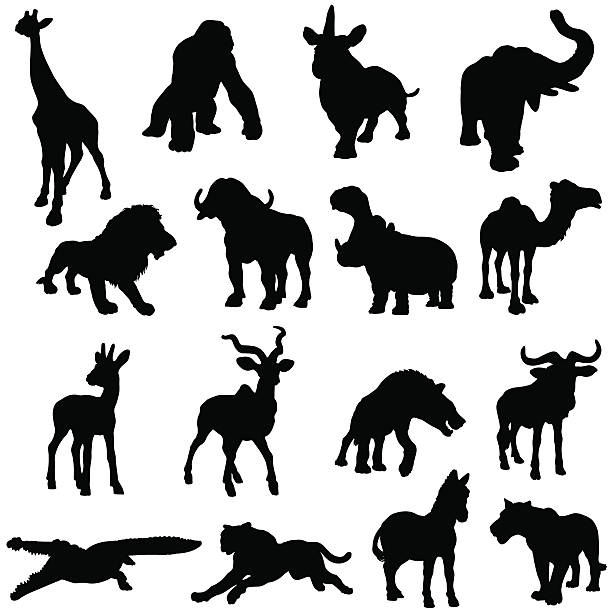 アフリカの動物シルエットコレクション - ヌー点のイラスト素材／クリップアート素材／マンガ素材／アイコン素材