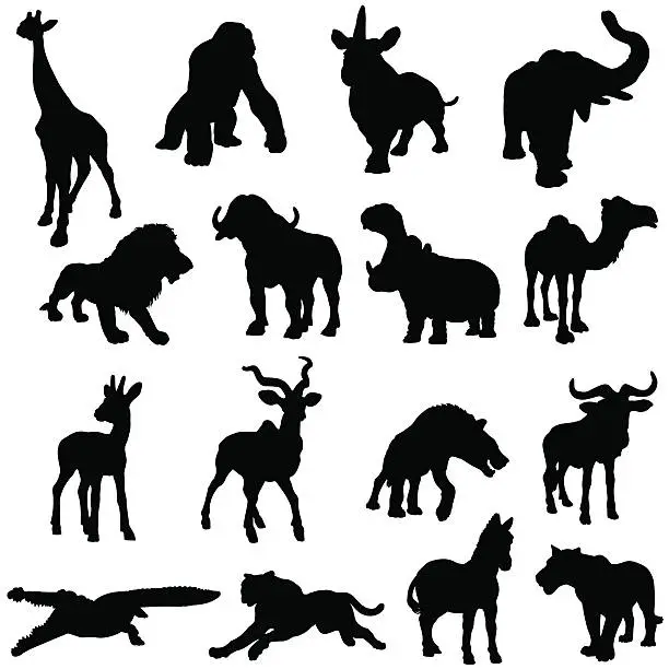 Vector illustration of African animals silhouette collection