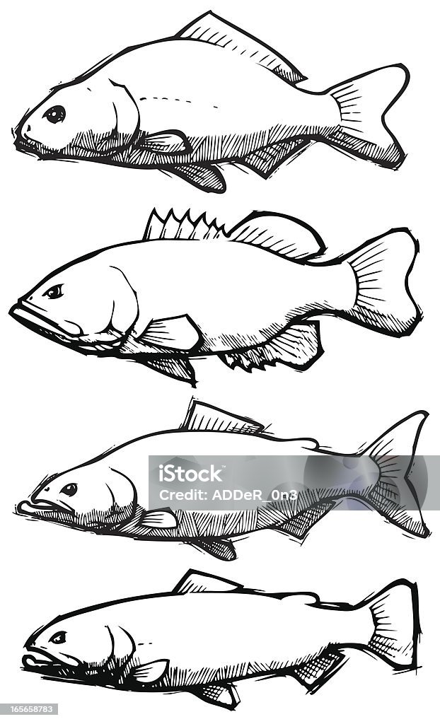 Poisson: Croquis Collection - clipart vectoriel de Poisson libre de droits