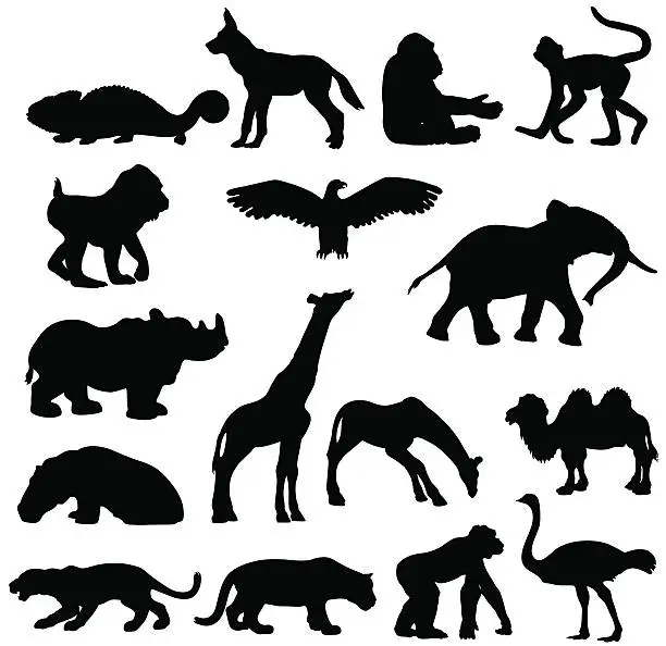 Vector illustration of African animals silhouette collection