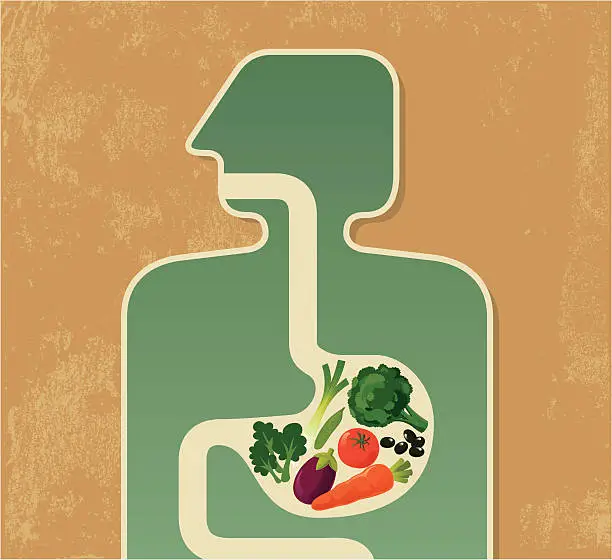 Vector illustration of Illustration of a human digesting fruits and vegetables