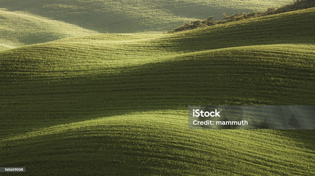 Холмы Тоскана - Стоковые фото Абстрактный роялти-фри