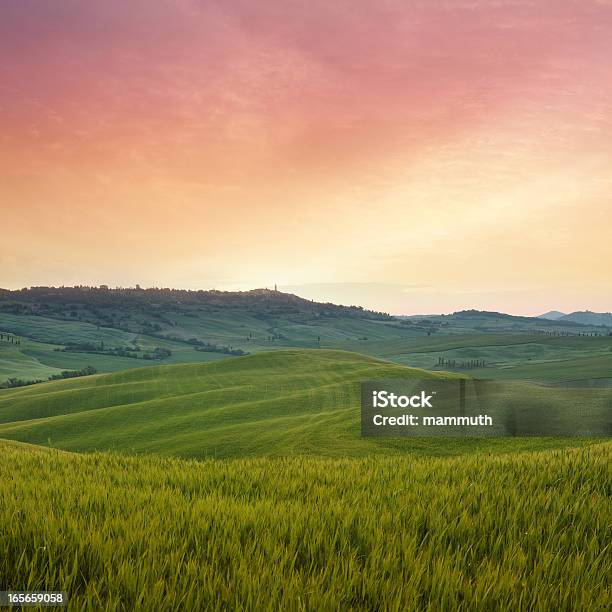 Foto de Amanhecer Na Toscana e mais fotos de stock de Ajardinado - Ajardinado, Beleza natural - Natureza, Campo