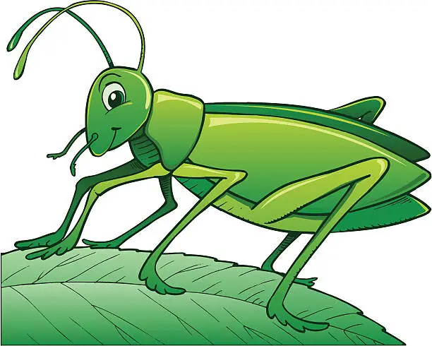 Vector illustration of Cricket