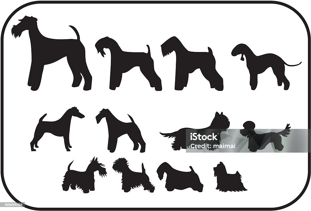 Terriers, Twelve Silhouettes Airedale Terrier, Kerry Blue, Soft Coated Wheaten, Bedlington Terrier, Smooth Fox, Wire Haired Fox, Skye Terrier, Dandie Dinmont, Scottish Terrier, West Highland White, Sealyham, Yorkshire Terrier. In Silhouette stock vector