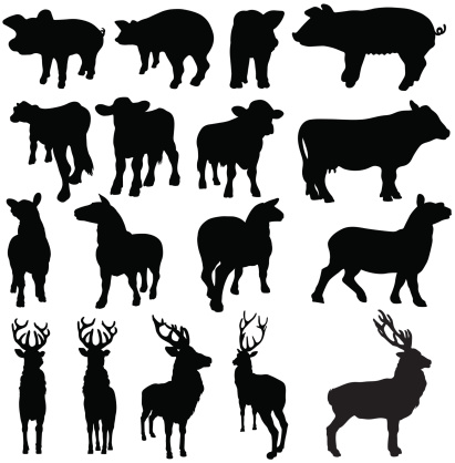 Farm livestock silhouettes of pigs, sheep, cows and deer from different angles. Front, side, behind and three quarter views of each animal are shown.