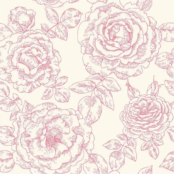Vector illustration of seamless pattern with roses
