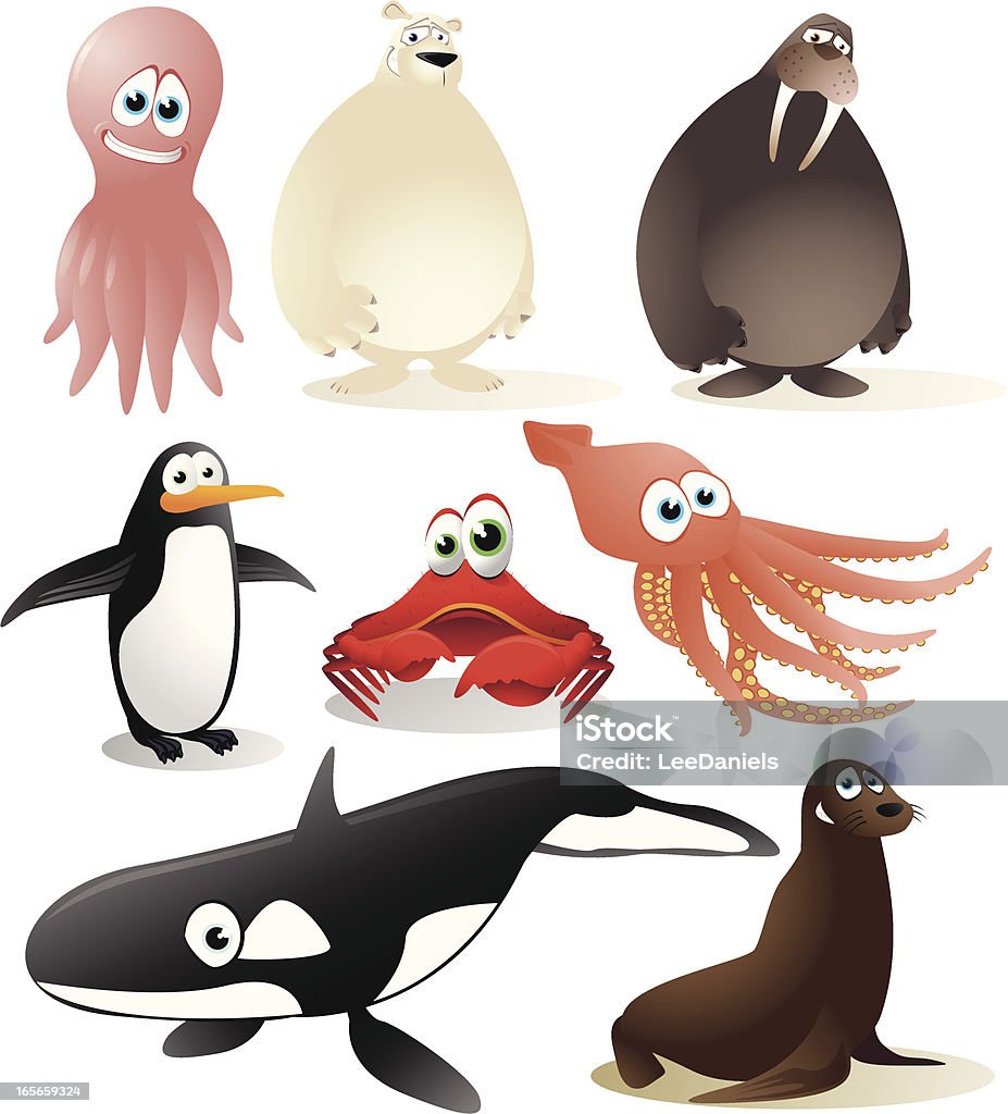 Cold Climate Animals Stock Illustration - Download Image Now - Ika Nigiri,  Squid, Vector - iStock
