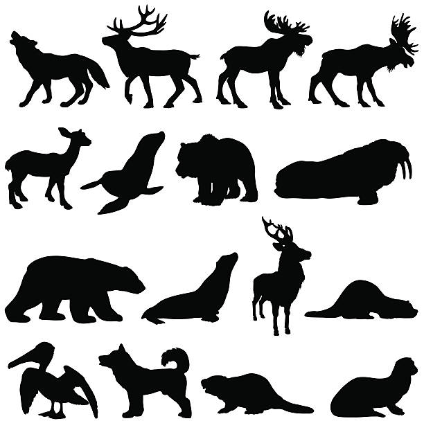 illustrations, cliparts, dessins animés et icônes de north american animaux silhouette set 2 - élan