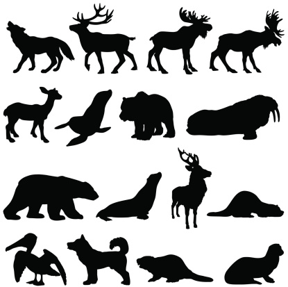 Vector silhouettes of North American animals, many can be found in Alaska and Canada.