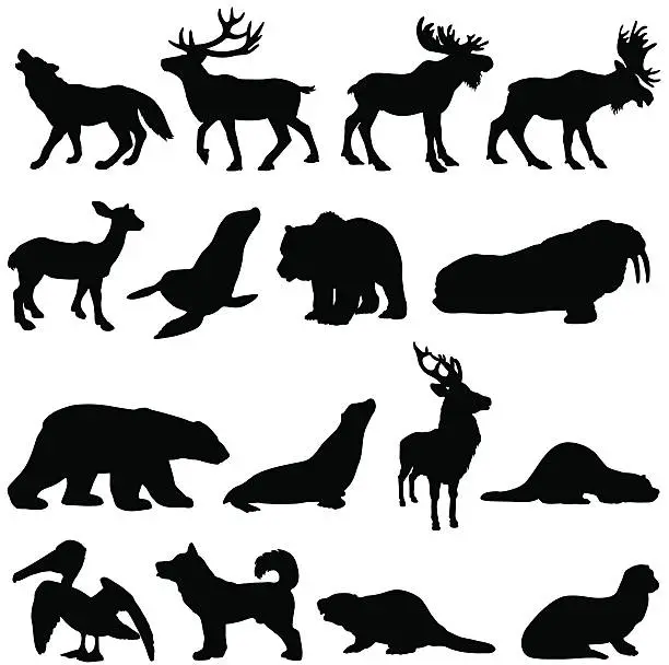 Vector illustration of North American animals silhouette set 2