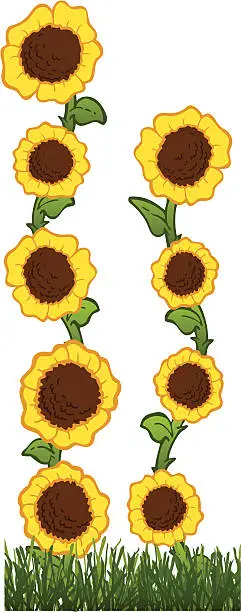Vector illustration of Sunflower Highrise