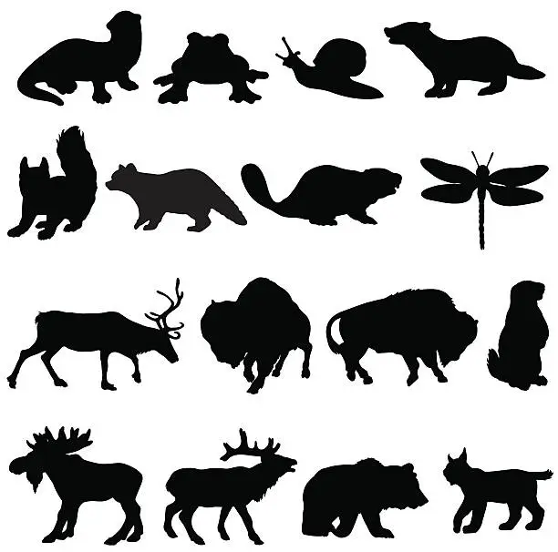 Vector illustration of North American animals silhouette collection