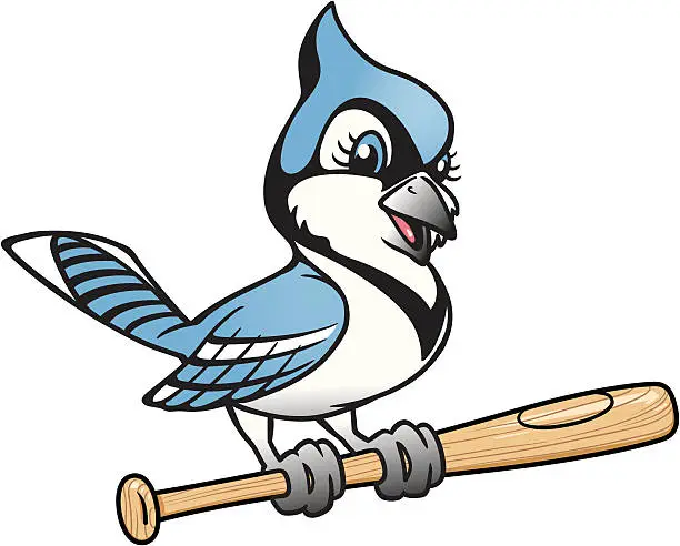 Vector illustration of blue jay on bat