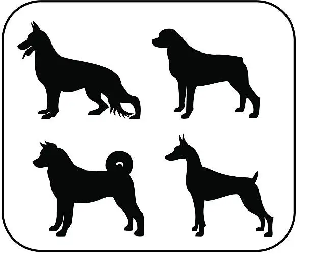 Vector illustration of Police and Personal Protection Dogs Silhouettes